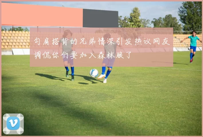 勾肩搭背的兄弟情深引发热议网友调侃你们要加入森林狼了